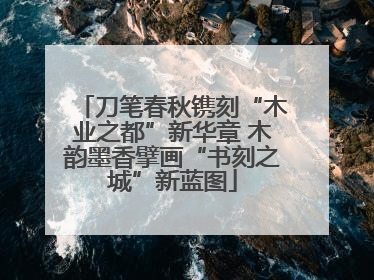 刀笔春秋镌刻“木业之都”新华章 木韵墨香擘画“书刻之城”新蓝图