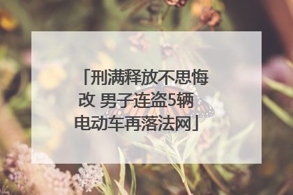 刑满释放不思悔改 男子连盗5辆电动车再落法网