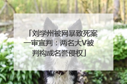 刘学州被网暴致死案一审宣判：两名大V被判构成名誉侵权
