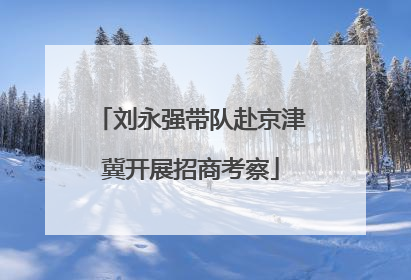 刘永强带队赴京津冀开展招商考察