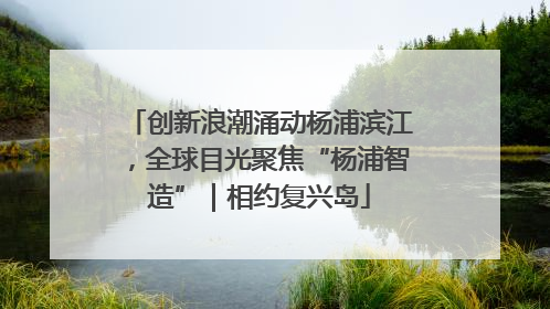 创新浪潮涌动杨浦滨江，全球目光聚焦“杨浦智造”｜相约复兴岛