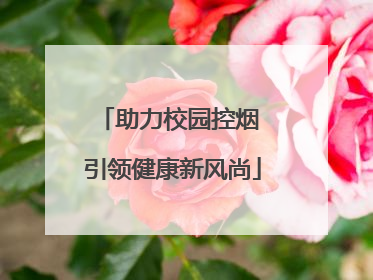 助力校园控烟 引领健康新风尚