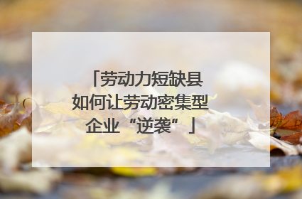 劳动力短缺县 如何让劳动密集型企业“逆袭”