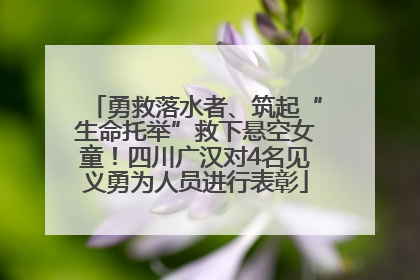 勇救落水者、筑起“生命托举”救下悬空女童！四川广汉对4名见义勇为人员进行表彰