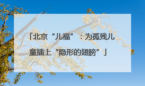北京“儿福”：为孤残儿童插上“隐形的翅膀”