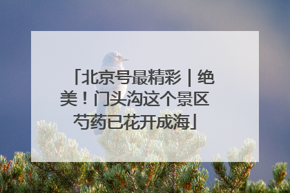 北京号最精彩｜绝美！门头沟这个景区芍药已花开成海