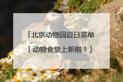 北京动物园夏日菜单丨动物食堂上新啦！