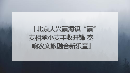 北京大兴瀛海镇“瀛”麦相承小麦丰收开镰 奏响农文旅融合新乐章