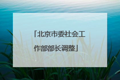 北京市委社会工作部部长调整