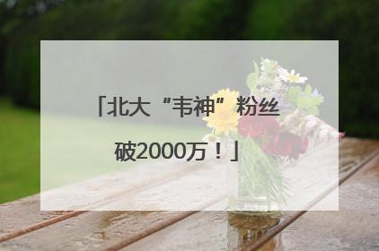 北大“韦神”粉丝破2000万！