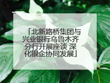 北新路桥集团与兴业银行乌鲁木齐分行开展座谈 深化银企协同发展