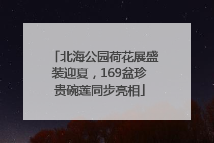 北海公园荷花展盛装迎夏，169盆珍贵碗莲同步亮相