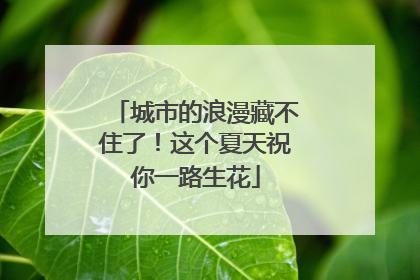 城市的浪漫藏不住了！这个夏天祝你一路生花