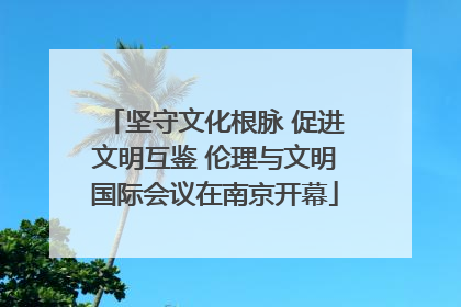 坚守文化根脉 促进文明互鉴 伦理与文明国际会议在南京开幕