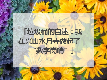 垃圾桶的自述：我在兴山水月寺做起了“数字岗哨”
