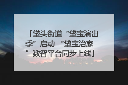 垡头街道“垡宝演出季”启动 “垡宝治家”数智平台同步上线