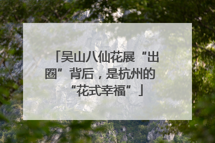 吴山八仙花展“出圈”背后，是杭州的“花式幸福”