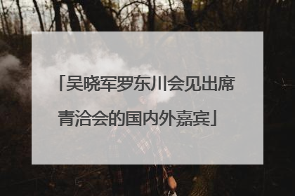 吴晓军罗东川会见出席青洽会的国内外嘉宾