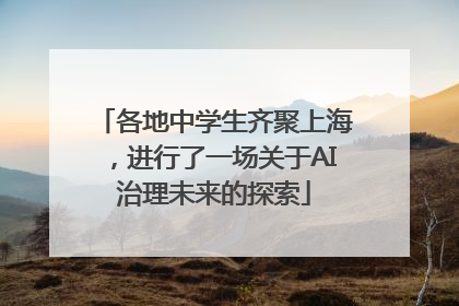 各地中学生齐聚上海，进行了一场关于AI治理未来的探索