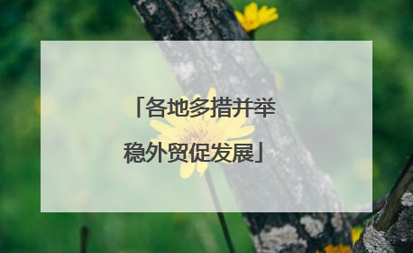 各地多措并举稳外贸促发展