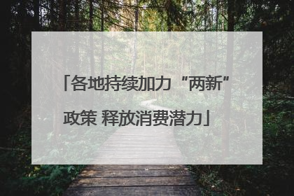 各地持续加力“两新”政策 释放消费潜力
