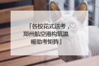 各校花式送考，郑州航空港构筑温暖助考矩阵