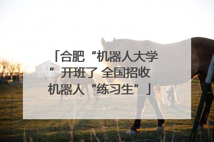 合肥“机器人大学”开班了 全国招收机器人“练习生”