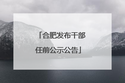 合肥发布干部任前公示公告