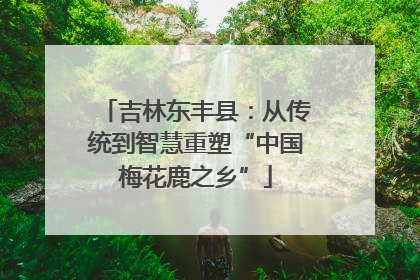 吉林东丰县：从传统到智慧重塑“中国梅花鹿之乡”
