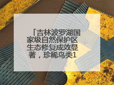 吉林波罗湖国家级自然保护区生态修复成效显著，珍稀鸟类10年增加5倍