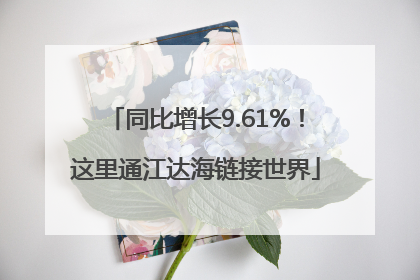 同比增长9.61%！这里通江达海链接世界