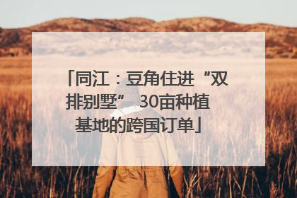 同江：豆角住进“双排别墅” 30亩种植基地的跨国订单