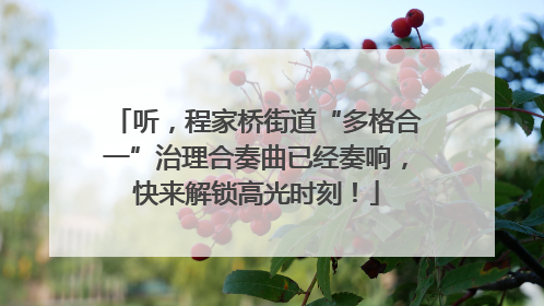 听，程家桥街道“多格合一”治理合奏曲已经奏响，快来解锁高光时刻！