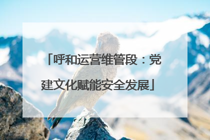 呼和运营维管段：党建文化赋能安全发展