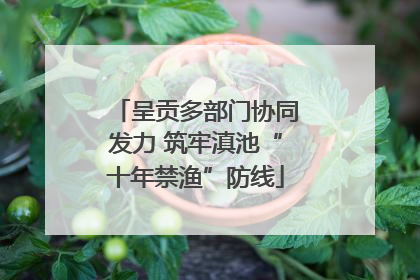 呈贡多部门协同发力 筑牢滇池“十年禁渔”防线