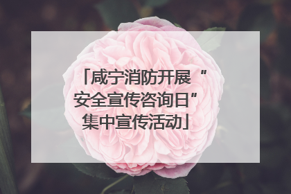 咸宁消防开展“安全宣传咨询日”集中宣传活动