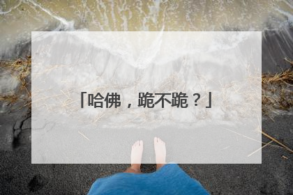 哈佛，跪不跪？