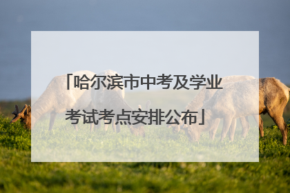 哈尔滨市中考及学业考试考点安排公布