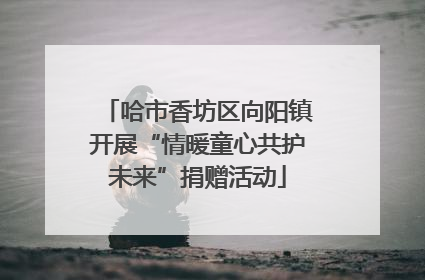 哈市香坊区向阳镇开展“情暖童心共护未来”捐赠活动