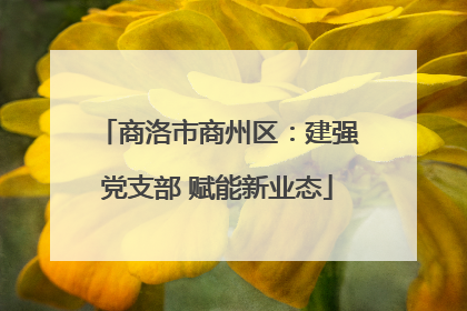 商洛市商州区：建强党支部 赋能新业态