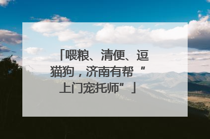 喂粮、清便、逗猫狗，济南有帮“上门宠托师”