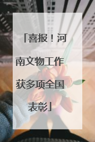 喜报！河南文物工作获多项全国表彰