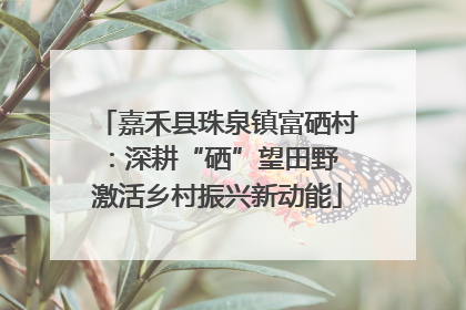 嘉禾县珠泉镇富硒村：深耕“硒”望田野 激活乡村振兴新动能
