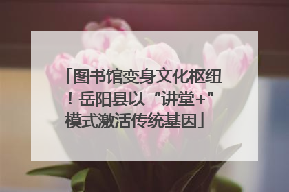 图书馆变身文化枢纽！岳阳县以“讲堂+”模式激活传统基因