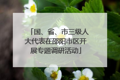 国、省、市三级人大代表在邵阳市区开展专题调研活动