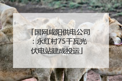 国网咸阳供电公司：永红村75千瓦光伏电站建成投运