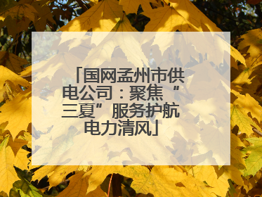 国网孟州市供电公司：聚焦“三夏”服务护航电力清风