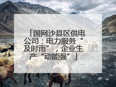 国网沙县区供电公司：电力服务“及时雨”，企业生产“动能强”