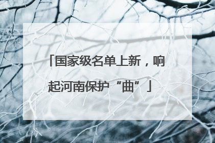 国家级名单上新，响起河南保护“曲”