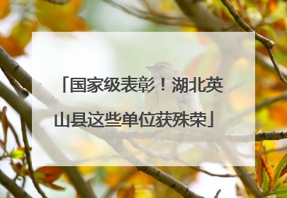 国家级表彰！湖北英山县这些单位获殊荣